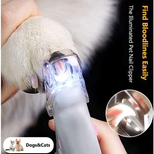 Dogs Pet Nail Clipper Magnification Dog Nail Scissor Safe Cat Pet Grooming Trimmer Claw Care Tool with LED Light Steal Blades