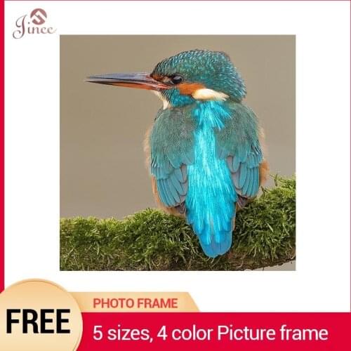 Diamond Embroidery Bird Diamond Painting Cross Stitch Handmade Kits DIY Diamond Mosaic Patterns Rhinestones Animal Gifts