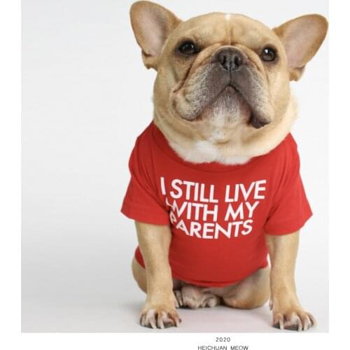 New Pet Clothes Summer Small and Medium-sized Dogs Dog Clothes Summer Clothes Pug Teddy Cotton T-shirt