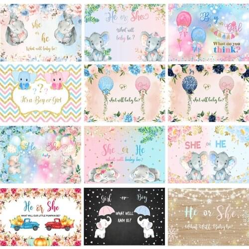 Baby Shower Backdrop Photography General Reveal Party Background Boy Or Girl Props Pink Blue Balloon Decor Kids Photo Studio