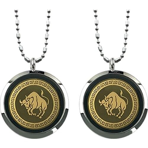 Taurus Stainless Steel Powerful Lava Zodiac Quantum Energy Pendant Necklace Fashion Jewelry Men Women Best Gift