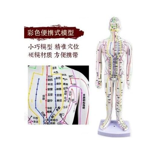 35CM FeMale Lettering point mini body mannequin of acupuncture, Medical Research massage reflex zone teaching model C518