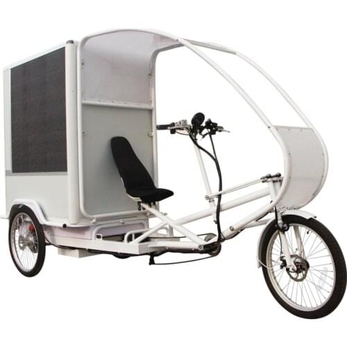 1000W Hub Motor Electric Tricycle Fat Tire Closed Cabin Velo Cargo Bicycle Delivery Bike for Adult with Big Box