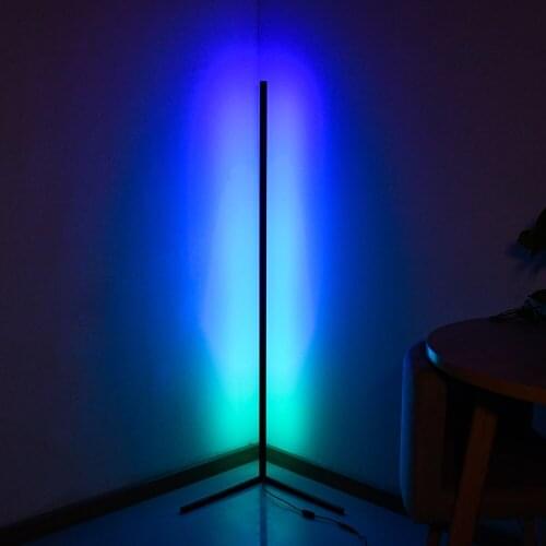 Hidixon Floor Lamps