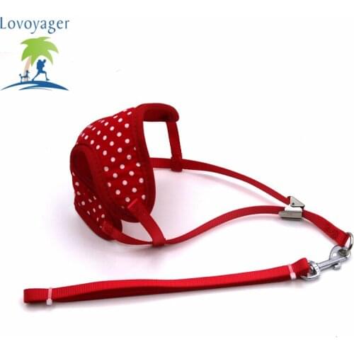 Lovoyager Harnesses