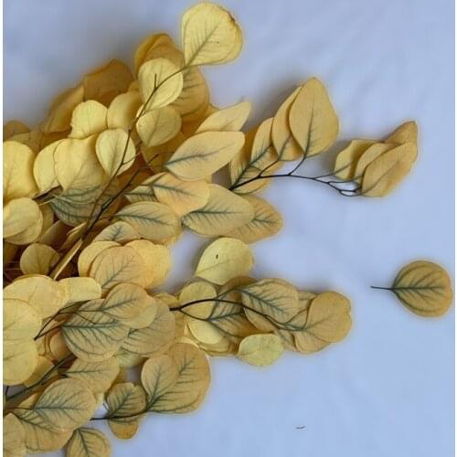 50g/20-35cm,Natural Preserved Eucalyptus Leaves Bouquet,Eternal display arrange flowers for Wedding Home Decoration accessories