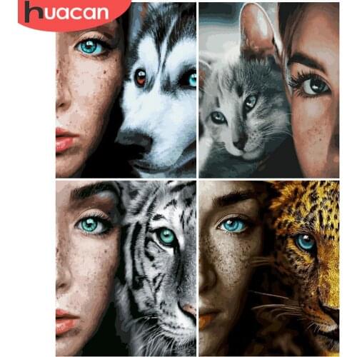 HUACAN Painting By Numbers Animal Hand Painted Paintings Art Drawing On Canvas Gift DIY Pictures By Number Cat Kits Home Decor