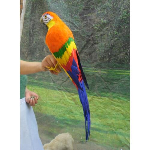 Simulation Macaw parrot beautiful coloured feathers parrot toy large 65cm model home decoration Christmas gift h1118