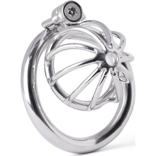 Unique Design Stainless Steel Cook Cage with Cock Ring Male Chastity Device With Arc-Shaped Penis Ring Sex Toys Men