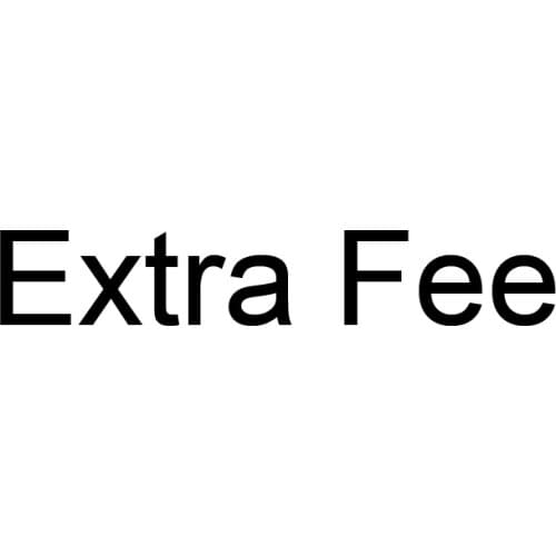Extra Fee