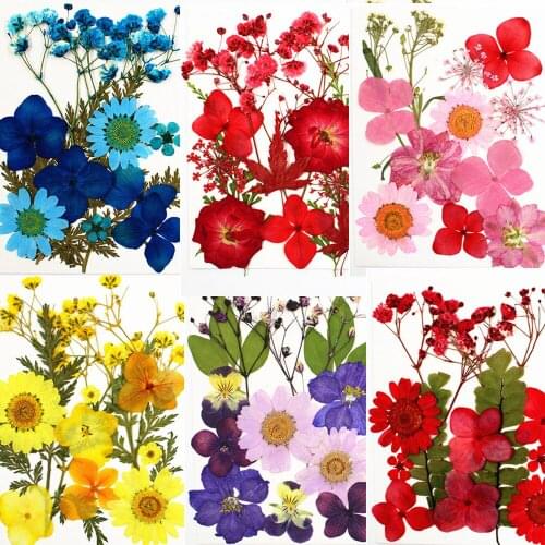 1 Pack Natural Colorful Real Dried Flower Plant For Aromatherapy Candle UV Epoxy Resin Pendant Necklace Jewelry Making Craft
