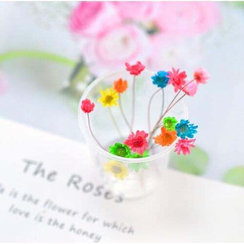 JF046 Brazil Starchrysanthemum Dried Flowers In A Variety Of Colors Set Drop Glue Production