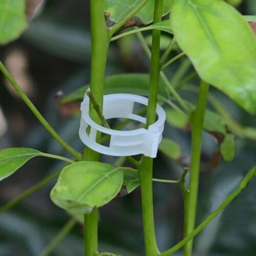 100pcs Reusable 25mm Plastic Plant Support Clips clamps For Plants Hanging Vine Garden Greenhouse Vegetables Tomatoes Clips