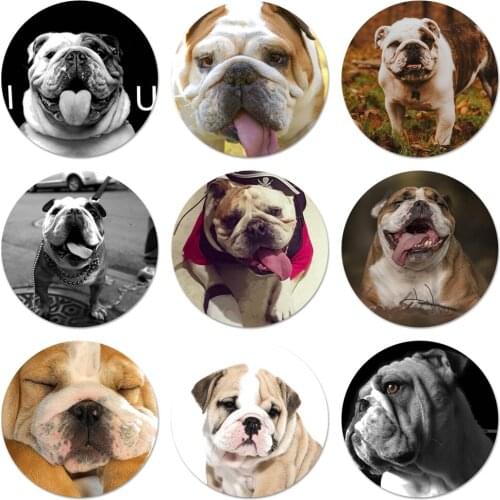 58mm Cute dog english bulldog Fashion Fun Icons Pins Badge Decoration Brooches Metal Badges For Clothes Backpack Decoration