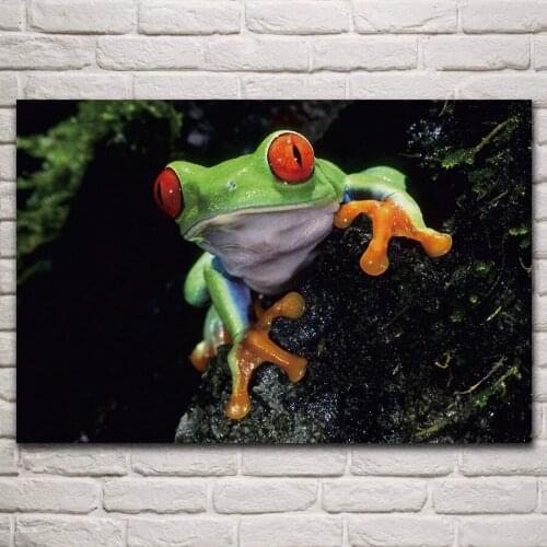 Red eyed tree frog Animal macro artwork living room decor home wall art decor wood frame fabric posters KM260