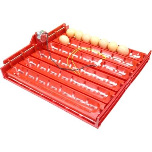 48-60 Eggs 220v/110v/12v Incubator Turn Eggs Tray Chicken Duck Goose Birds Eggs Automatic Incubator Tray