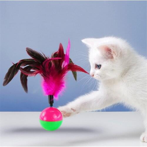 Cat Tumbler Toys Pet Durable Plastic Colorful Feather Catch Play Ball Toy Kitten Interactive Puzzle Training Fun Cats Supplies