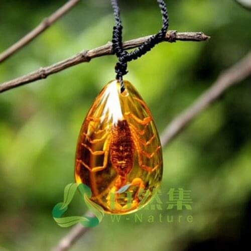 Fashion Insect Golden Scorpion Ambers Drop Pendant Necklace Jewelry Gifts for Women Men