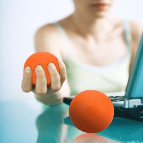 Cycle Zone Fitness Balls