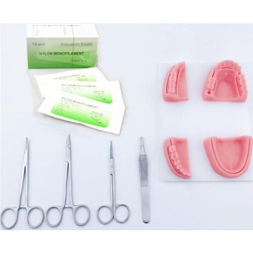 Dental Simulation oral suture model with needle Gum suture teaching training equipment skill practice