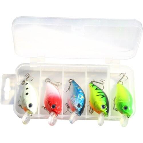 New Promotion For Fishing Fishing Goods 5 Pcs/Box Fishing Tackle And Bait Set Of 5 Color Luminous Rice Bait Set of Fishing Gear