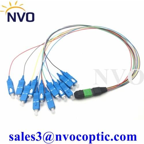 8cores Trunk Multicore Fibre Male Connector Senko MPO SC Type A Breakout Fan-out Cable SM 9/125 LSZH 50CM Optical Fiber Pigtail