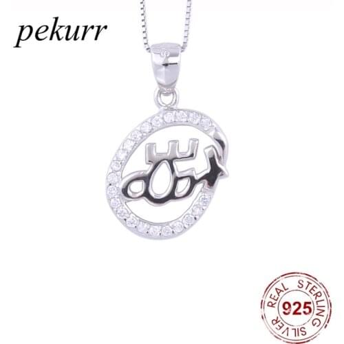 Pekurr 925 Sterling Silver Crystal Round Hoop Necklaces For Women Geometry Pendants Chain Fashion Jewelry