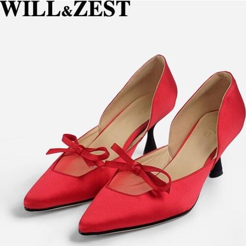 Will&Zest Wedding pointed toe Pumps Satin Sexy Mesh Autumn Designer Evening Shoes Women Crossdresser Fetish High Heels 33 Size