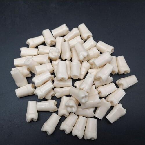28pcs Resin Simulation Tooth Grain Dental Material for Dentist Exam Preparation Teaching Lab Fast Shipping