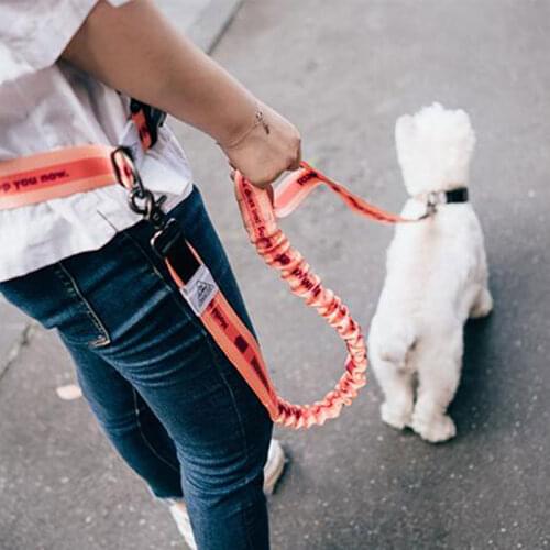 2021 New Adjustable Hand Free Dog Leash for Dog Pet Walking Running Jogging Dog leashes Waist Belt Chest Strap Traction Rope