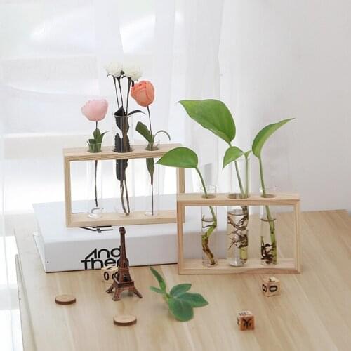 Ins Popular Household Glass Test Tube Vase Green Dill Plant Hydroponic Vase Desktop Decoration Mini Vase With Wood Stand