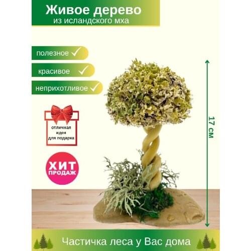 Cetraria Interior Decor Items