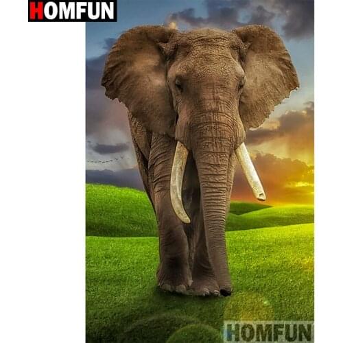 HOMFUN Full Square/Round Drill 5D DIY Diamond Painting "Animal elephant" Embroidery Cross Stitch 5D Home Decor Gift A14596