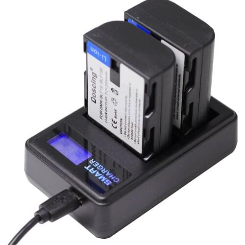 Doscing 2pcs 2000mAh DMW-BLF19 BLF19 BLF19E BLF19e DMW-BLF19PP Camera Battery+LCD USB Charger for Panasonic Lumix GH3 GH4 GH5 G9
