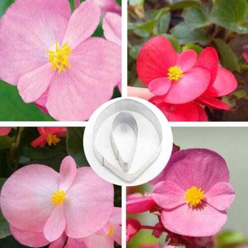 Begonia 2Pcs Stainless Stell Cookie Cutter Pastry & Biscuit Baking Cutter Cake Decorating Tools Cupcake Mold Fondant Tools