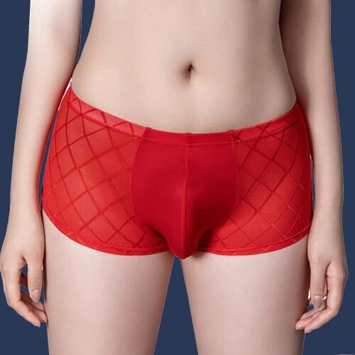 Glossy Underwear nylon spandex panties for men See Through Shiny Shorts Stretch Clothes Mens Briefs Male Sexy U Pouch Panties