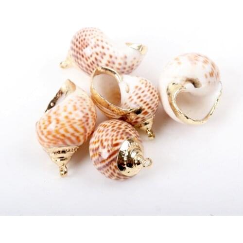 Gold plating Aquarium Beach Nautical DIY conch Colorful Natural Seashells Decorations Scallop conch Crafts Decor Ornament 5Pcs