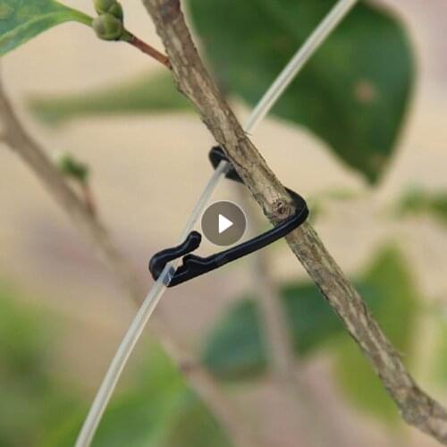 50 PCS Plastic Plant Fixing Clips Tomato Support Holder Clip Grape Rack Mesh Fasteners Gardening Agricultural Garden Tools