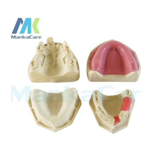 Manka Care - Made from special foaming materials and additives to simulate real mandible Oral Model Teeth Tooth Model