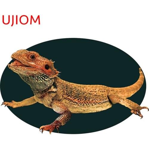 UJIOM Dragon Bearded Lizard Sticker Wallstickers Room Sticker Wall Art Wallposter Home Decor 3D PVC Decal House Decoration