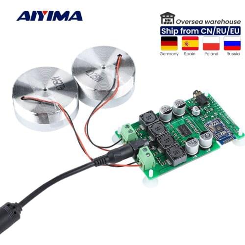 AIYIMA 2 Inch Audio Portable 25W Resonance Vibration Speaker TPA3118 Bluetooth 5.0 Amplifier Sound Neodymium Altavoz DC 12V 5A