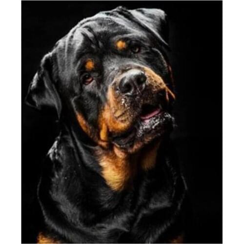 New Arrivals 5D DIY Full Round Diamond Painting Rottweiler Dog Cross Stitch 3D Embroidery Pet Rhinestone Mosaic Home Decor Y451