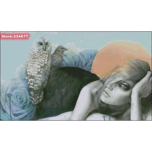 Girl and Owl, Woman Big version Sewing Top Quality Embroidery Needlework 14CT Unprinted Art Cross Stitch Kits DIY Handmade Decor
