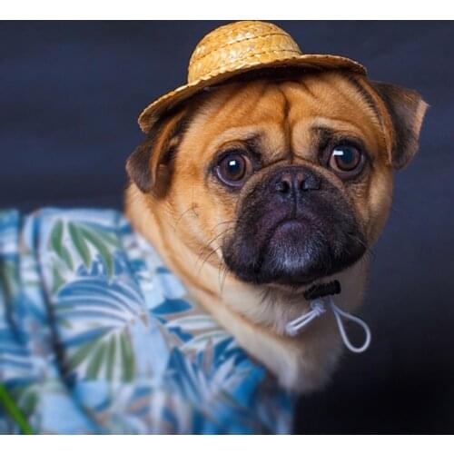 Summer Pet Cap Dog Cat Straw Hat Headwear Accessories French Bulldog Pug Sunbonnet Photo Props