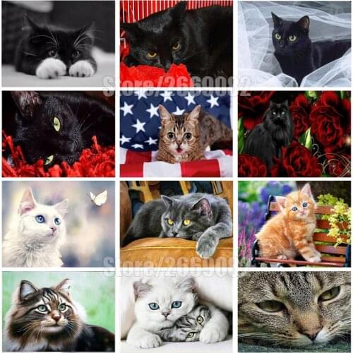 Full Square/Round Drill 5D DIY Diamond Painting "Animal black cat flower" 3D Diamond Embroidery Cross Stitch Home Decor TT1074