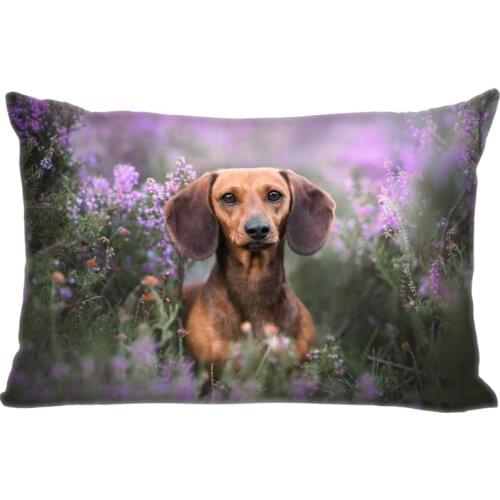 Animal Dachshund Dog Pillow Cover Bedroom Home Office Decorative Pillowcase Rectangle Zipper Pillow Cases Satin Fabric A12.21