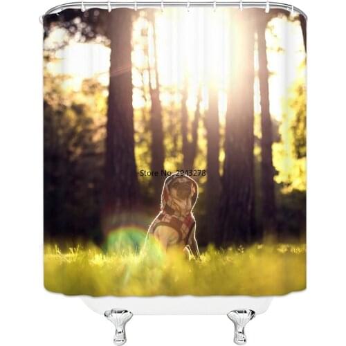 Uniquely Designed Wooden Boat In The Lake Picture Hanging Shower Curtain Waterproof Mildew Polyester Fabric Home Bathroom Decora