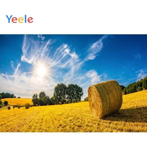 Yeele landscape Blue Sky Cloud Gold Wheat Stubble Photography Backdrops Personalized Photographic Backgrounds For Photo Studio