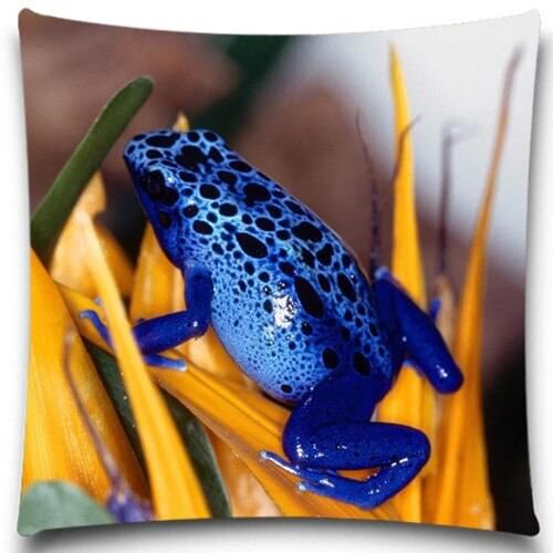 Pillow case cotton polyester 2d Printed Blue&black frog and Butterfly pattern For Soft Throw Chair Seat home decoration