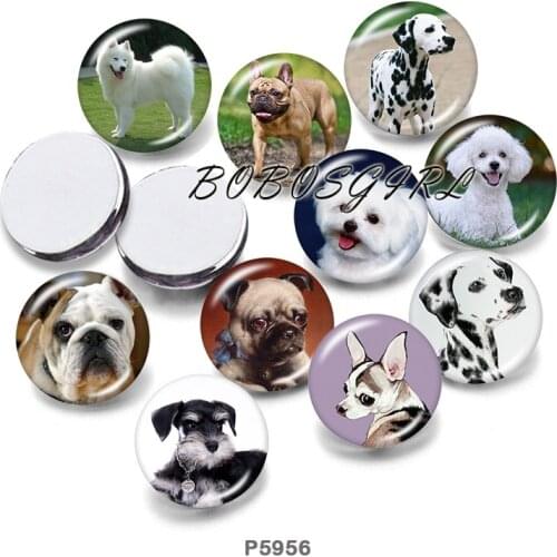 DOG 12mm/18mm/20mm/25mm/30mm Round Glass Cabochon Flat Back Making Findings P6010